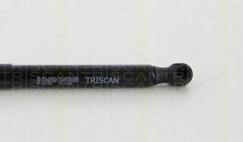 Triscan 8710 11128 Пружина газова капоту 871011128: Купити в Україні - Добра ціна на EXIST.UA!