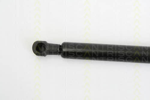 Амортизатор багажника Triscan 8710 25234