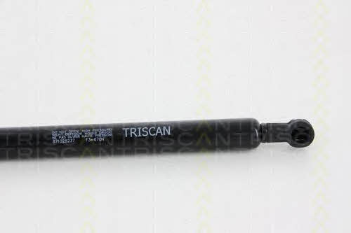Купити Triscan 8710 28237 за низькою ціною в Україні!