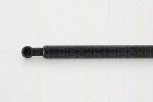 Амортизатор багажника Triscan 8710 14246