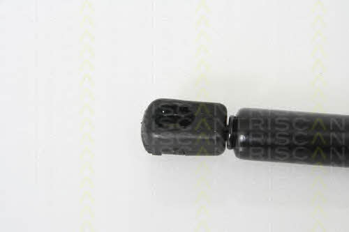 Амортизатор багажника Triscan 8710 16239