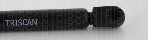 Амортизатор капота Triscan 8710 29135