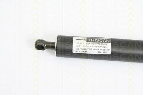 Амортизатор багажника Triscan 8710 29264