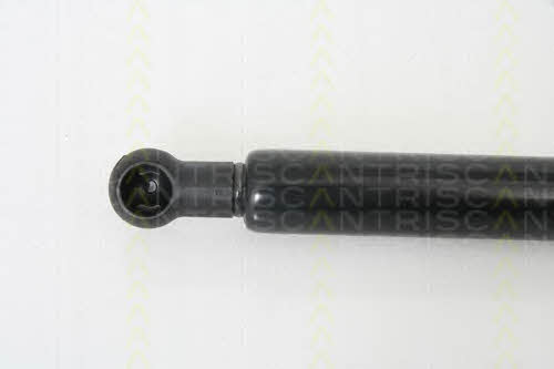 Амортизатор багажника Triscan 8710 29268