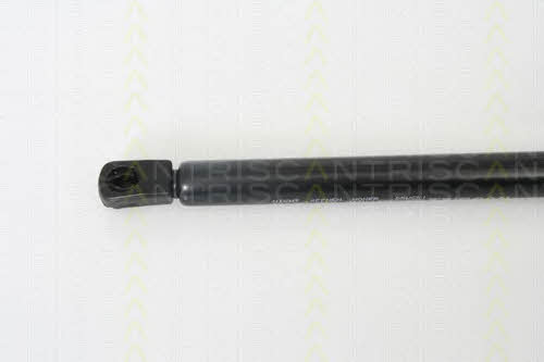 Амортизатор багажника Triscan 8710 29272