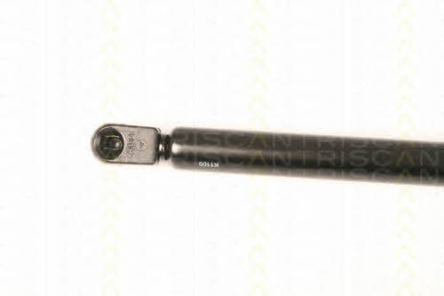 Амортизатор багажника Triscan 8710 29287