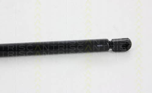 Амортизатор багажника Triscan 8710 29294