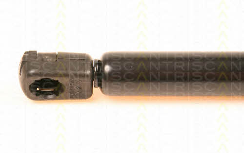 Амортизатор багажника Triscan 8710 67205