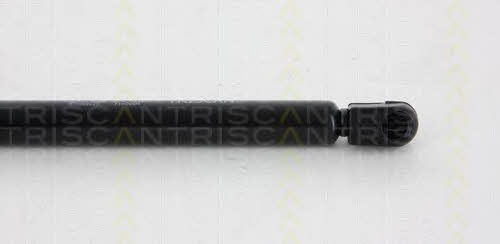 Амортизатор багажника Triscan 8710 69225