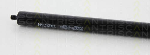 Амортизатор багажника Triscan 8710 80208