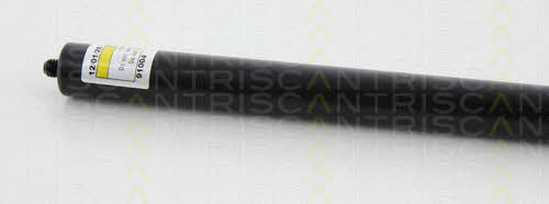 Амортизатор багажника Triscan 8710 80209