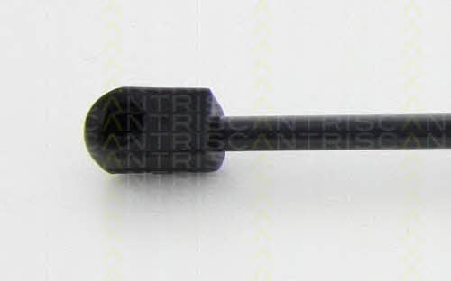 Амортизатор багажника Triscan 8710 80213