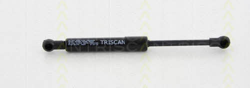 Купити Triscan 8710 20106 за низькою ціною в Україні!
