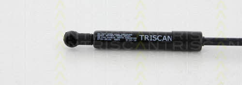 Пружина газова капоту Triscan 8710 20106