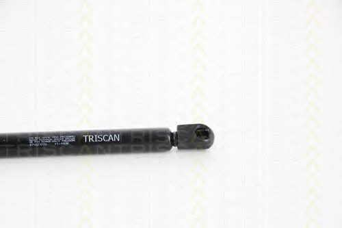 Амортизатор багажника Triscan 8710 23220