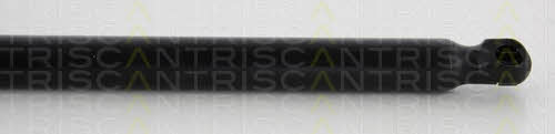 Амортизатор багажника Triscan 8710 24242