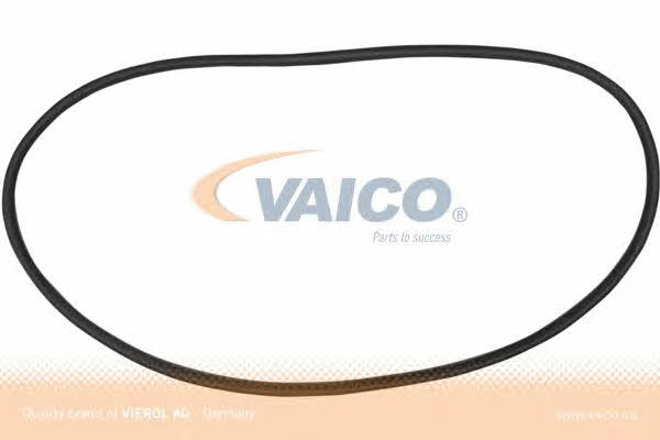 Купити Vaico V10-0889 за низькою ціною в Україні!