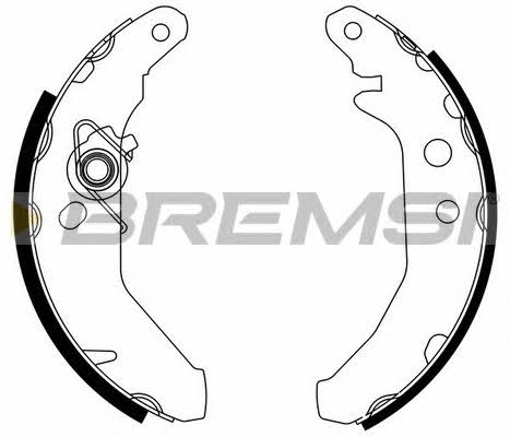 GF0225 Bremsi Колодки тормозные барабанные, комплект