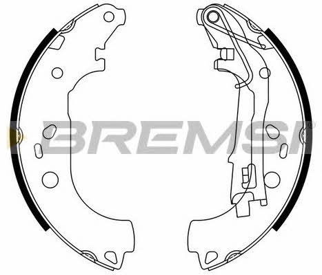 Колодки тормозные барабанные, комплект Bremsi GF0161