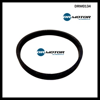 Dr.Motor DRM0134 Прокладка впускного колектора DRM0134: Приваблива ціна - Купити в Україні на EXIST.UA!