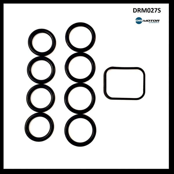 Dr.Motor DRM027S Прокладки впускного колектора, комплект DRM027S: Купити в Україні - Добра ціна на EXIST.UA!