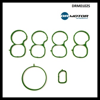 Dr.Motor DRM0102S Прокладки впускного колектора, комплект DRM0102S: Приваблива ціна - Купити в Україні на EXIST.UA!