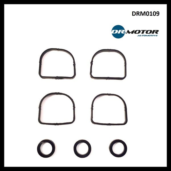 Прокладка на впускной коллектор BMW X1 (БМВ Х1): DRM0109 Dr.Motor Прокладки впускного коллектора, комплект
