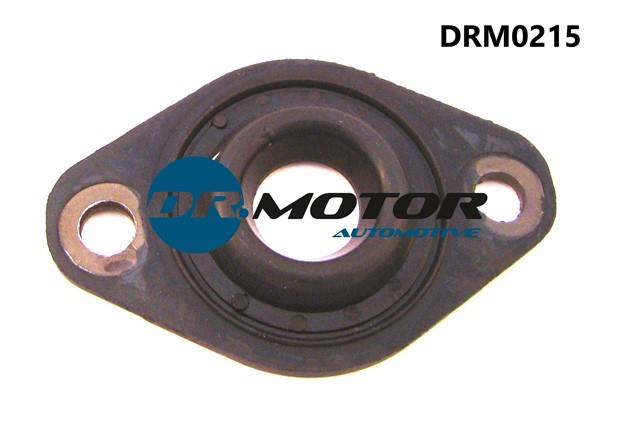 Dr.Motor DRM0215 Прокладка вприску інжектора DRM0215: Купити в Україні - Добра ціна на EXIST.UA!