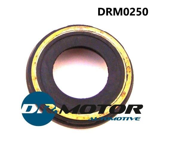 Dr.Motor DRM0250 Кільце ущільнююче форсунки паливної DRM0250: Купити в Україні - Добра ціна на EXIST.UA!