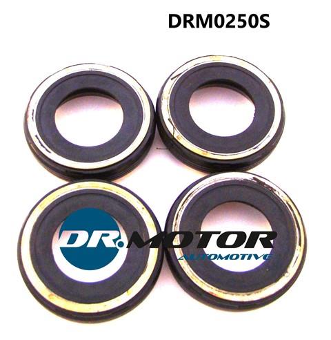 Dr.Motor DRM0250S Кільце ущільнююче форсунки паливної DRM0250S: Купити в Україні - Добра ціна на EXIST.UA!
